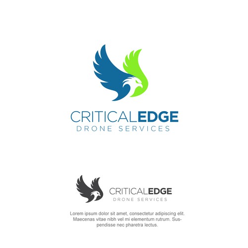 We need a logo design for new Drone inspection and survey company Design by hasnagraphics