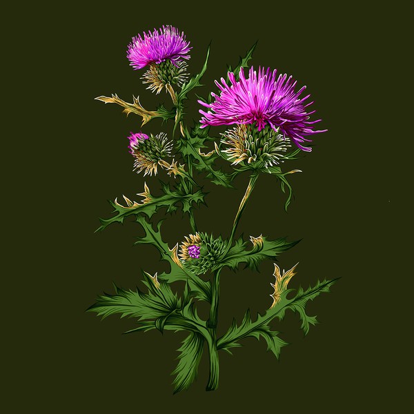 Illustration design for book printing