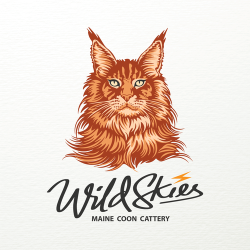 Design a logo for a Maine Coon cat breeder Diseño de EkaroBe