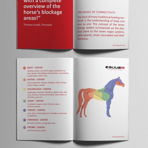 Brochure contest entry by simona n.