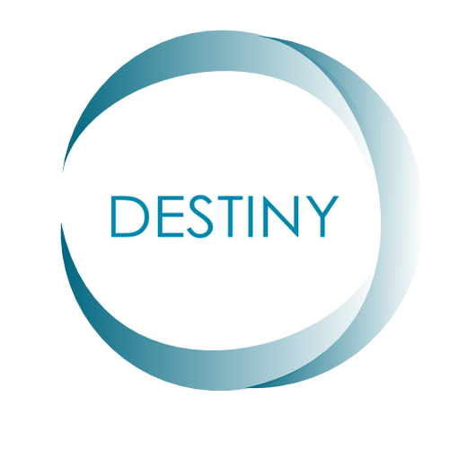 destiny Ontwerp door livestrokes