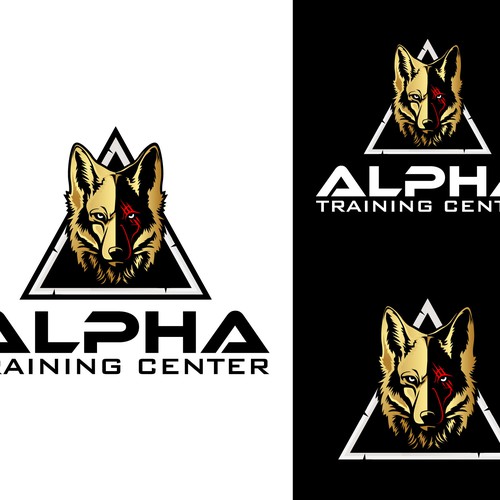 Alpha Training Center seeks powerful logo to represent wrestling club. Réalisé par Maylyn