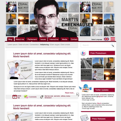 Wordpress Theme for MEP Martin Ehrenhauser Design by Anca Designs