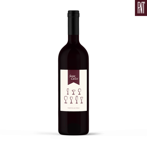  contest entry by PINT0