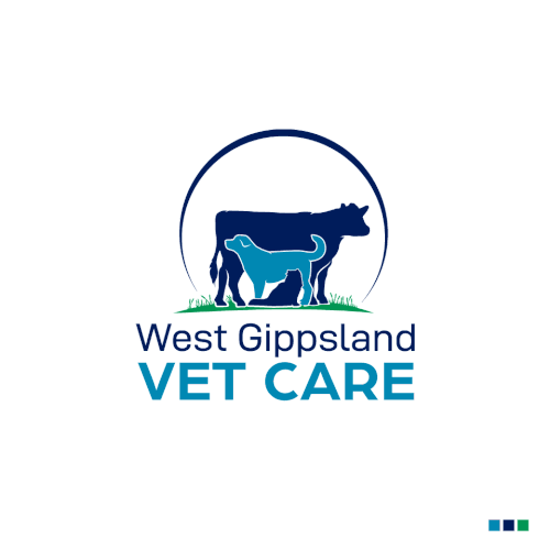 Freshen up our look to fit our renovated mixed animal Veterinary Clinic (update: no horses please) Design by Insfire!