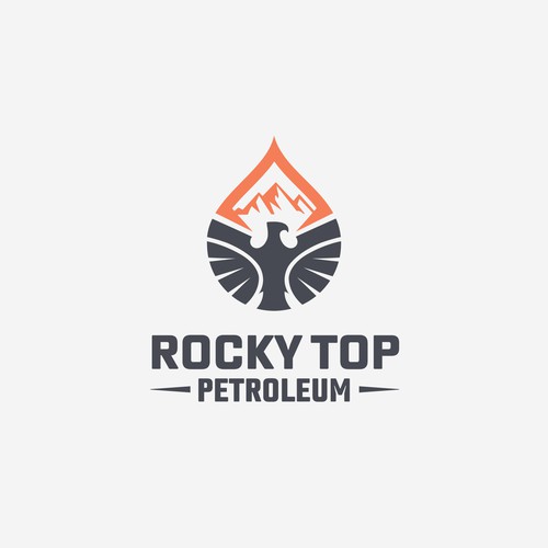 Fuel and Petroleum Supply company Needs a Professional Identity Design by Ovita ✏️