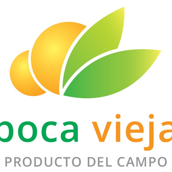 Crea Empresa de cultivo, comercialización y exportación de frutas, chiles, verduras y hortalizas