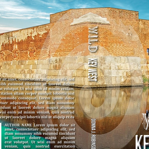 book cover for Donna J. Robinson