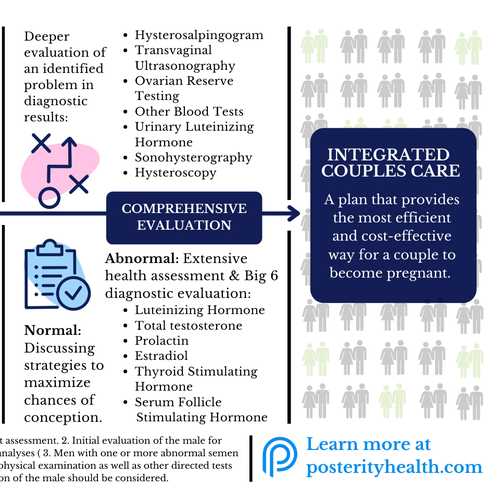 Parallel process infographic of fertility evaluation of female and male Ontwerp door selin-k