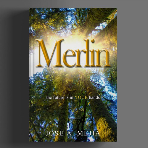 Book Cover Design for a  Personal Development Book Design by BeyondImagination