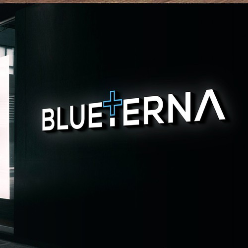 Blueterna Branding contest Design by Imam H.