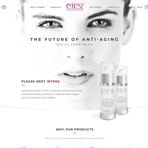 Web page design contest entry by gegen