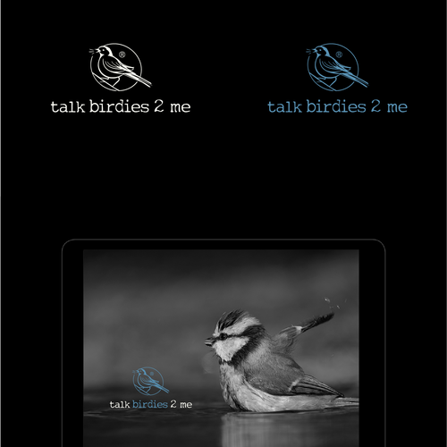 Design a powerful yet subtle bird logo for new professional birding company! Design by Studio Clevrik