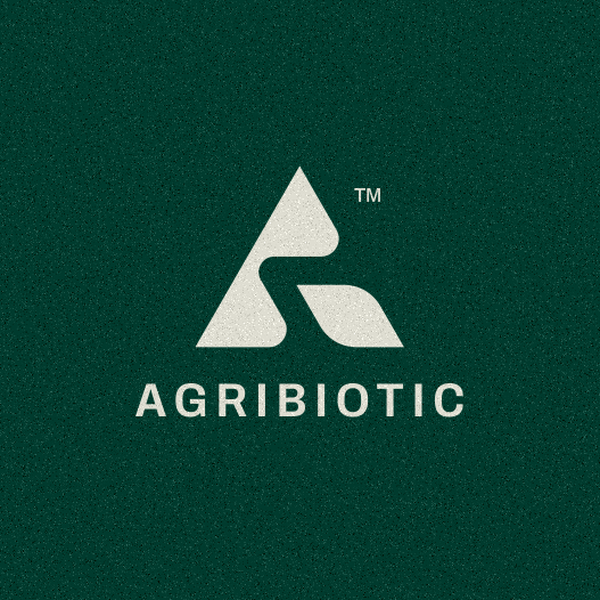 Design di artsigma