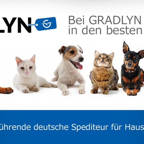 Banner ad contest entry by tremblingstar