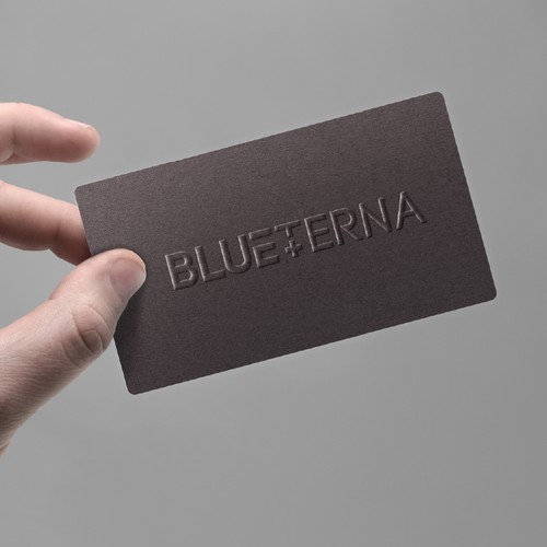 Blueterna Branding contest Design by Imam H.