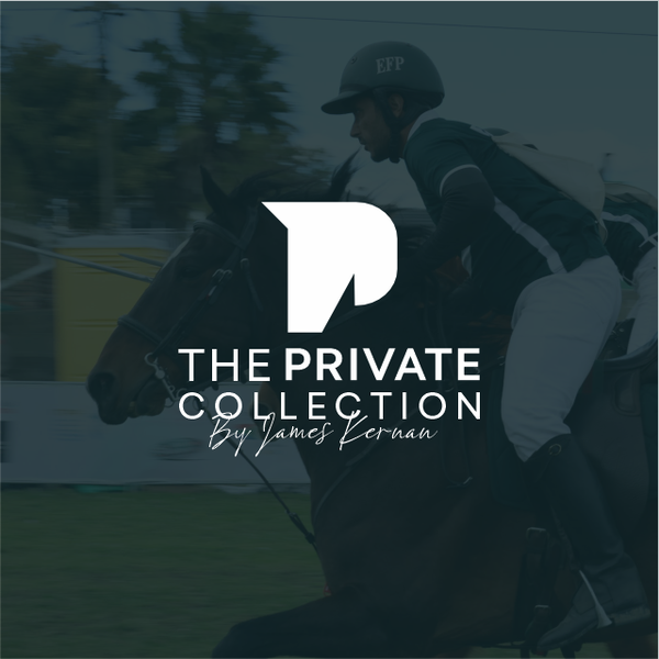 Bold, Modern and Minimalist Horse Logo