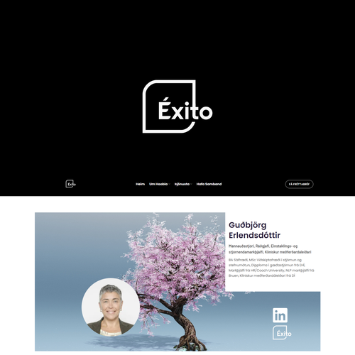 Otros diseños propuesta en el concurso por Aidy_core