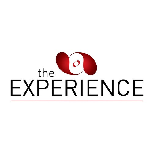 Modern logo needed for The Experience Design by smallhelper