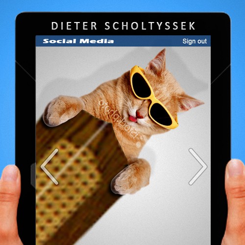 Book Cover for "Why is there a Cat on my Ceiling Fan?" Design by Underrated Genius