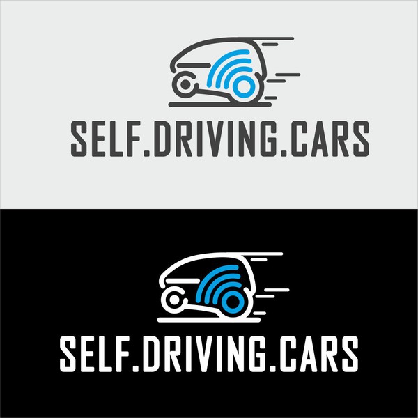 Self Driving Cars