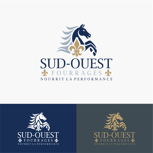 Logo design contest entry by sidiqnu