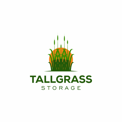 Simple, Fun, Colorful Logo for a Storage Unit Business Design by LEXItheDolphin