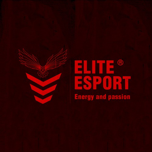 Elite Esports needs a creative mind to vibe its energy and passion for