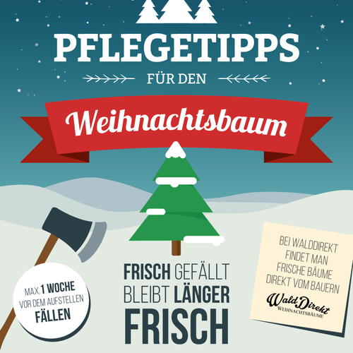  contest entry by Rob Lee