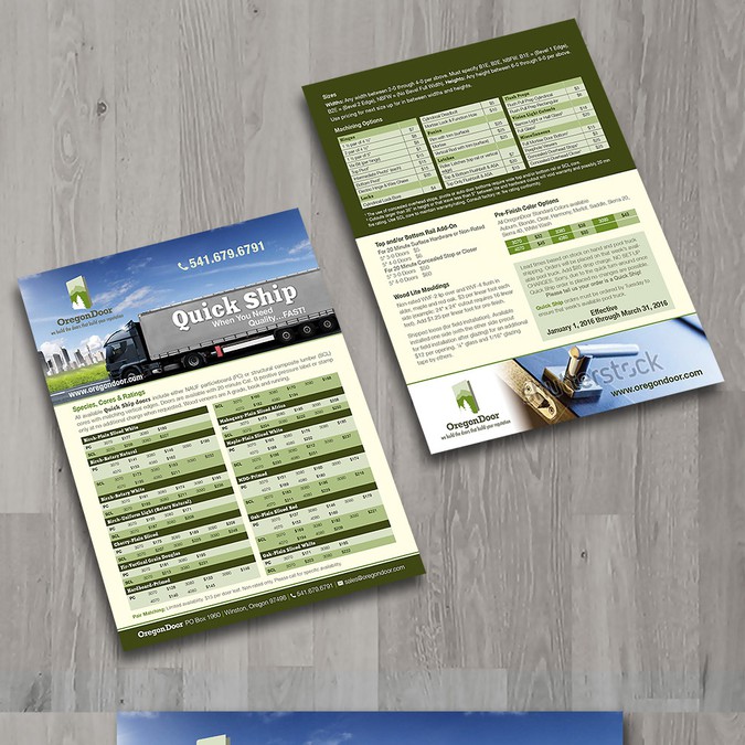 Create Attractive Sales Sheet Brochure For Door Company Brochure