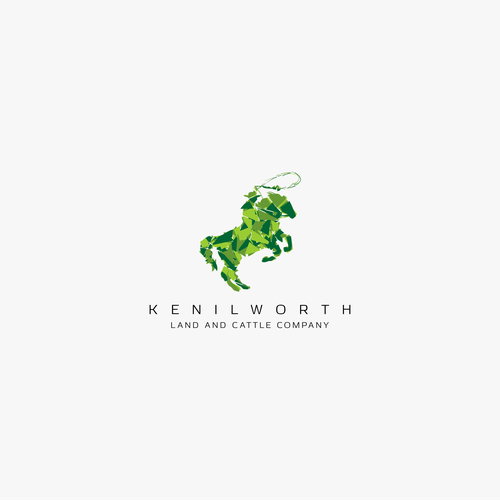 Horse Branding the Best Horse Brand Identity Images and Ideas 99designs