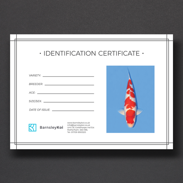 Certificate of Origin