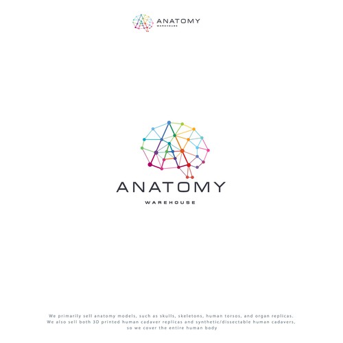 Anatomical Model Co. Looking for Creative, Modern Yet Timeless Logo With Human Anatomy Design by adisign09