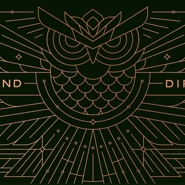 Owl Envelope Illustration