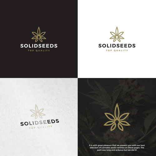  contest entry by Amansky