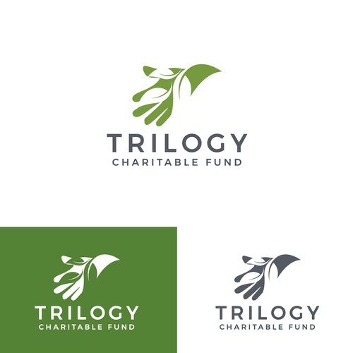 A positive brand identity for a new charitable fund Design by websmartusa