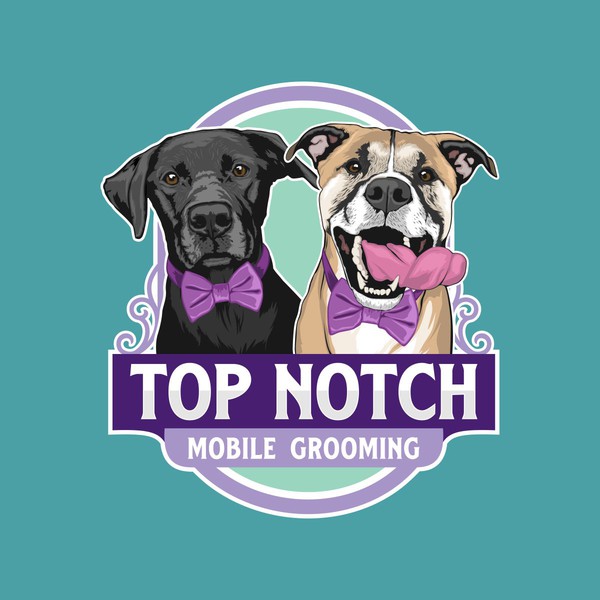 Logo Concept for Top Notch