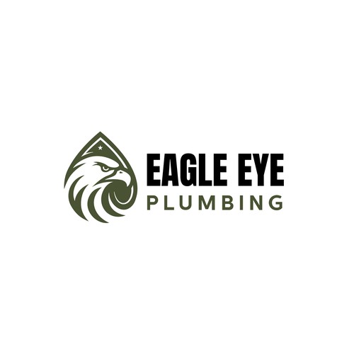 Eye catching and very marketable logo for plumbing company. The company name is Eagle Eye Plumbing Design by Elbes™