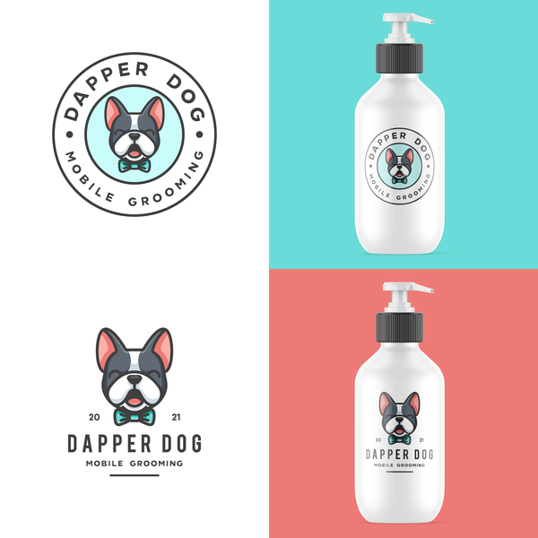 Cute French Bulldog For Dapper Dog 