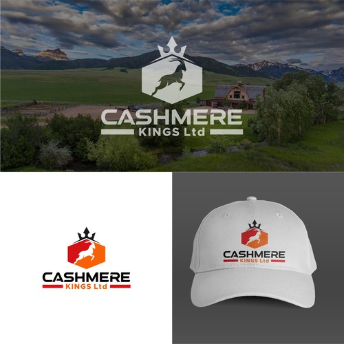 Designs | Go to TOWN Designing a Logo for a MOUNTAIN Ranching Brand ...