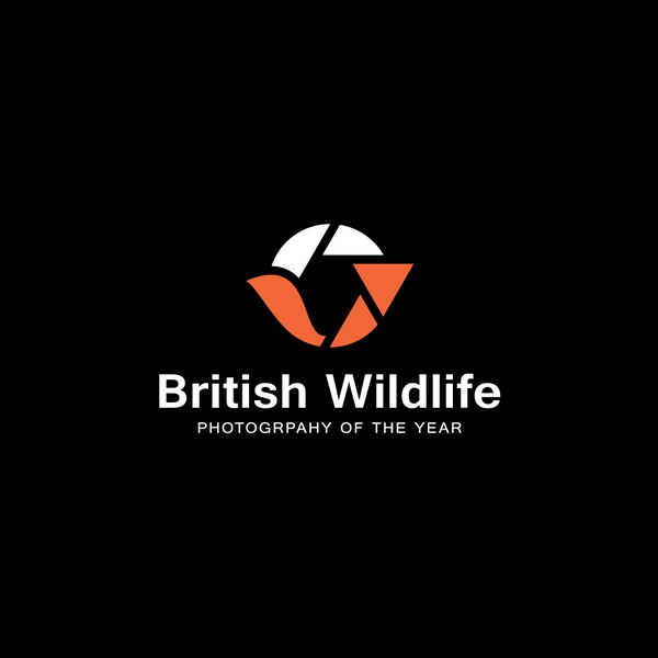 Minimalist logo concept for BWPOTY