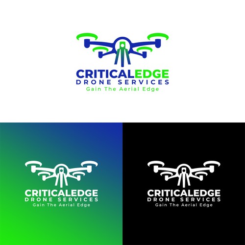 We need a logo design for new Drone inspection and survey company Design by Creative Dope