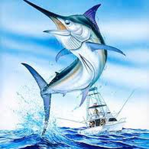 marlin drawing.jpg