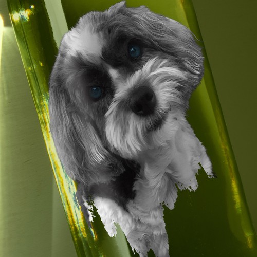 Product label contest entry by Manthanshah