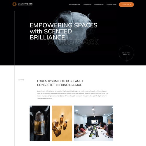 Landing page design contest entry by Zhanna A