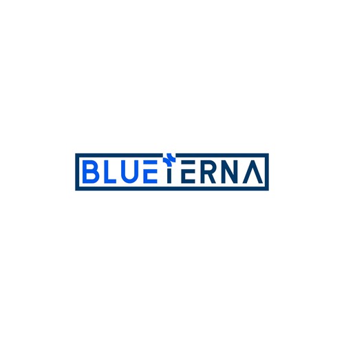 Blueterna Branding contest Design by Nana445