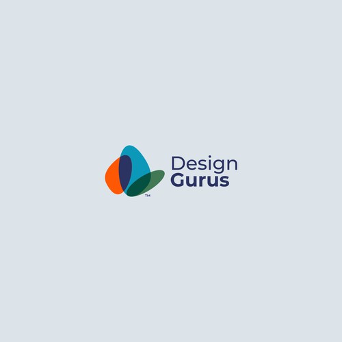 DesignGurus.com  --  NEW AGENCY Design by VisibleGravity™