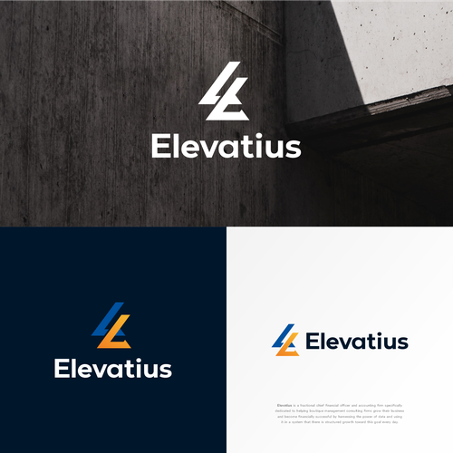 Design a top lead generating logo for a Fractional CFO firm focused on management consultants Design by tedge17™