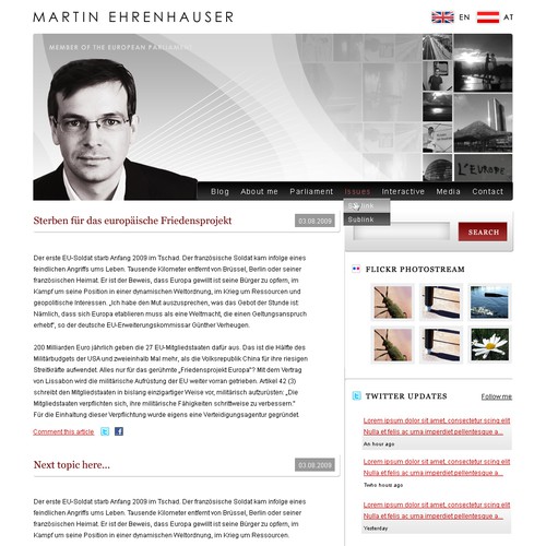Wordpress Theme for MEP Martin Ehrenhauser Design by Mokkelson