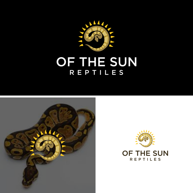 Ball Python Breeder Logo | Logo design contest